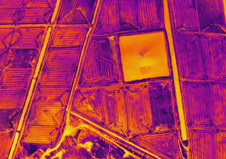 Thermal image